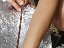 270197_10150260440954901_5953470_n